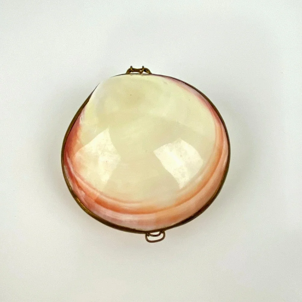 Vintage Tiger Clam Sea Shell Box Brass Hinged Natural Smooth Unique